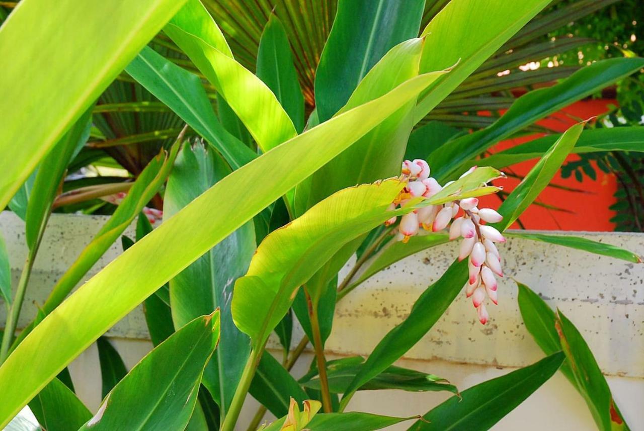 House Sea View Private Garden, 5 People, Optical Fiber Villa Puerto de la Madera Luaran gambar